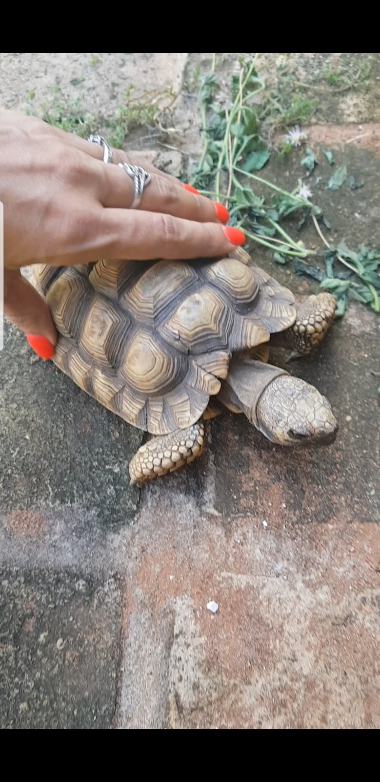 Screenshot_20191218-145843_Video Player.jpg