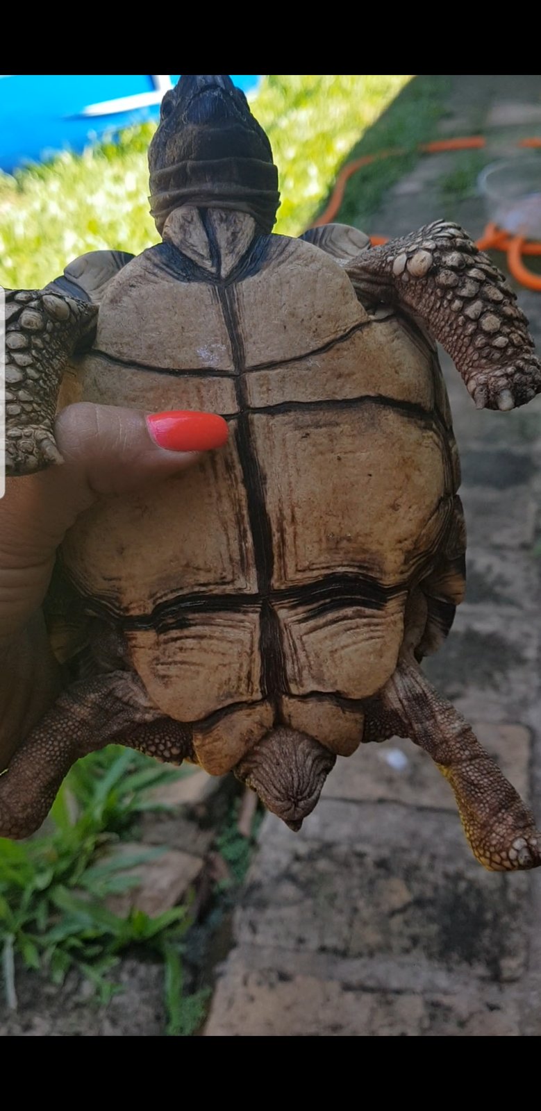 Screenshot_20191218-145905_Video Player.jpg