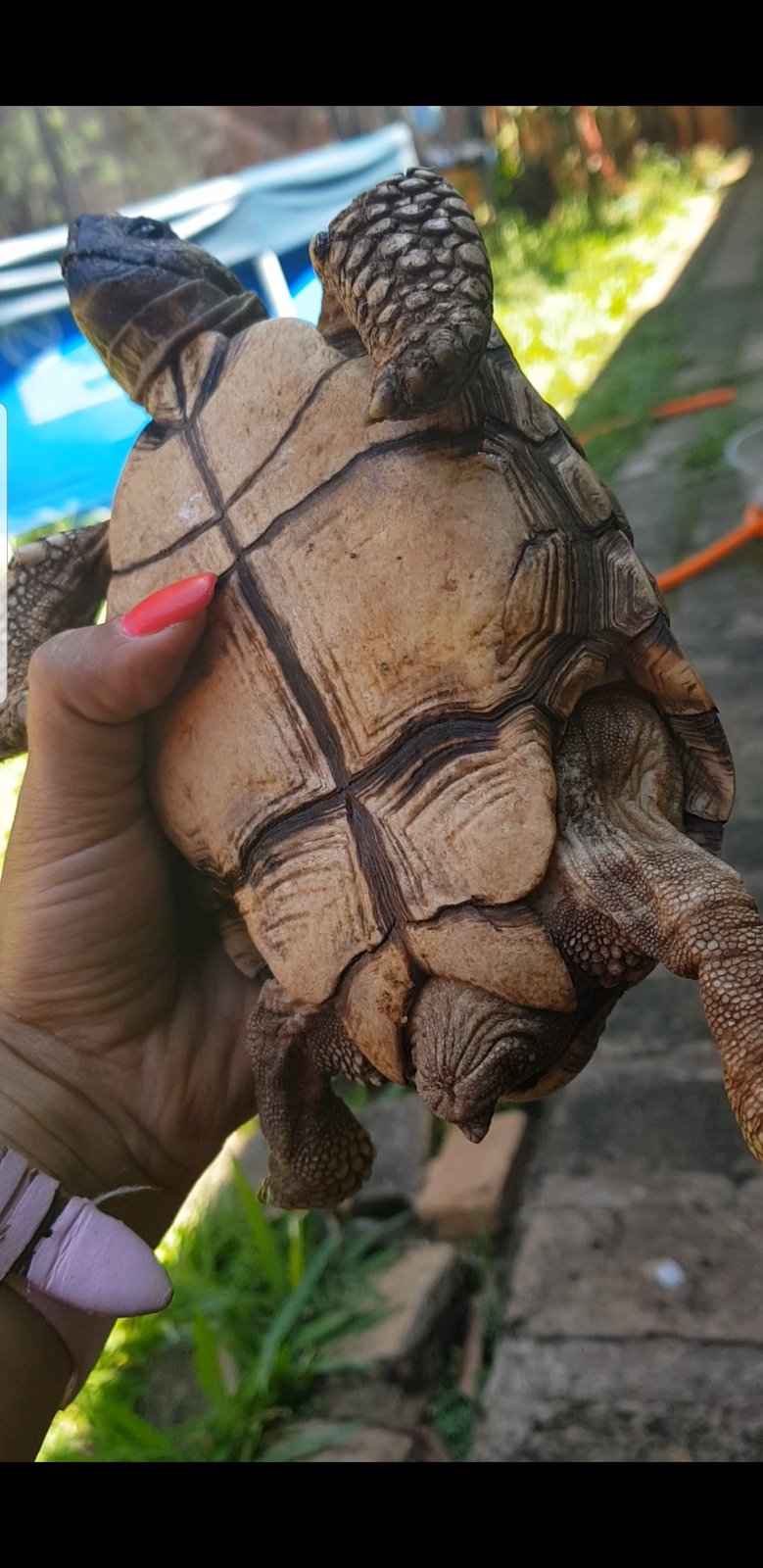 Screenshot_20191218-145923_Video Player.jpg