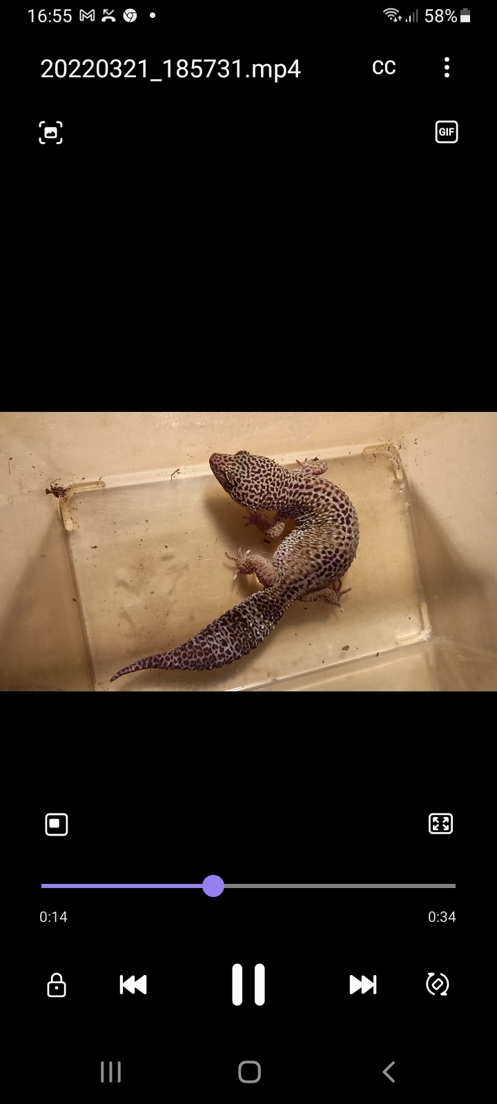 Screenshot_20220322-165549_Video Player.jpg