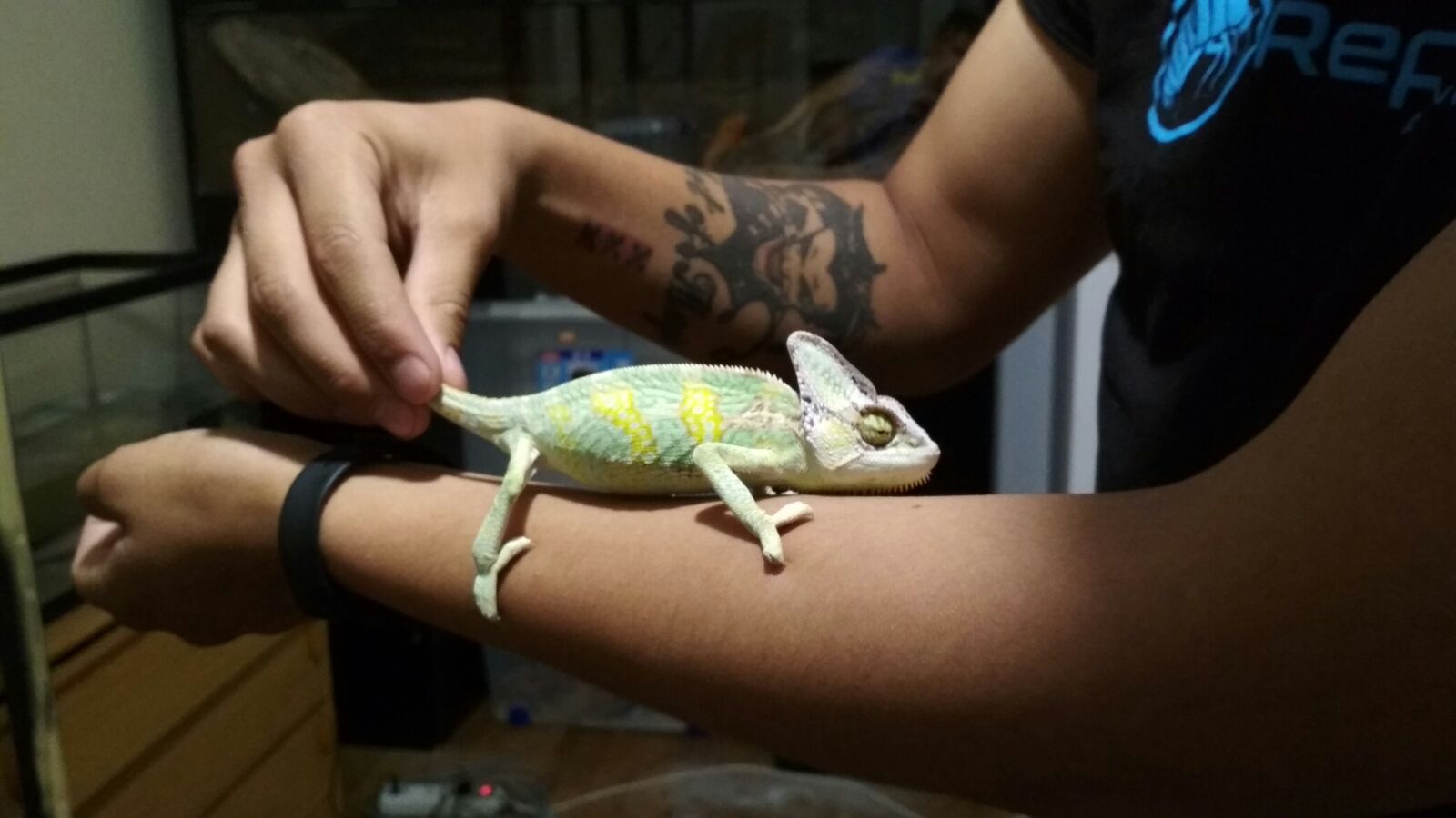 WhatsApp Image 2017-06-15 at 08.06.08 (1).jpeg