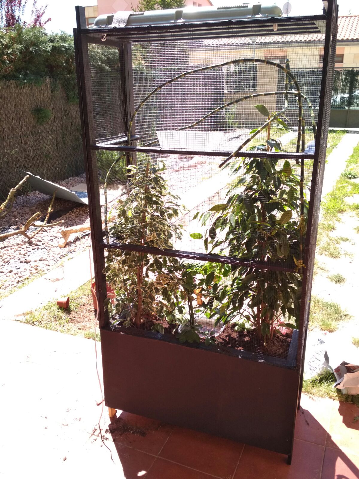 WhatsApp Image 2017-06-15 at 10.51.51 (1).jpeg