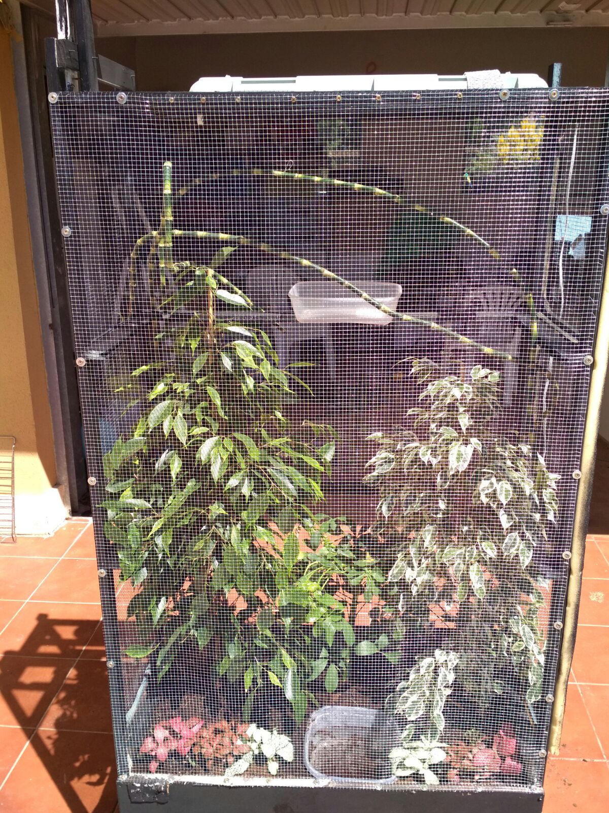 WhatsApp Image 2017-06-15 at 10.51.51.jpeg