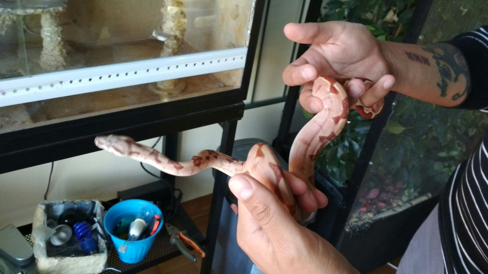 WhatsApp Image 2017-10-12 at 21.12.48 (2).jpeg