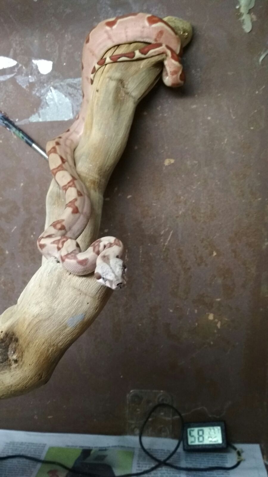 WhatsApp Image 2017-10-12 at 21.12.48.jpeg