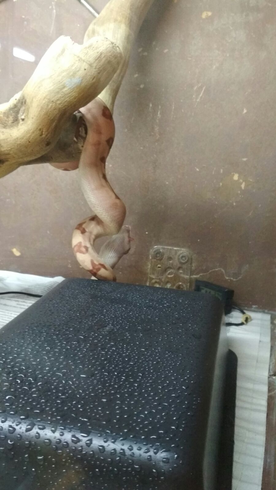 WhatsApp Image 2017-10-12 at 21.12.49.jpeg