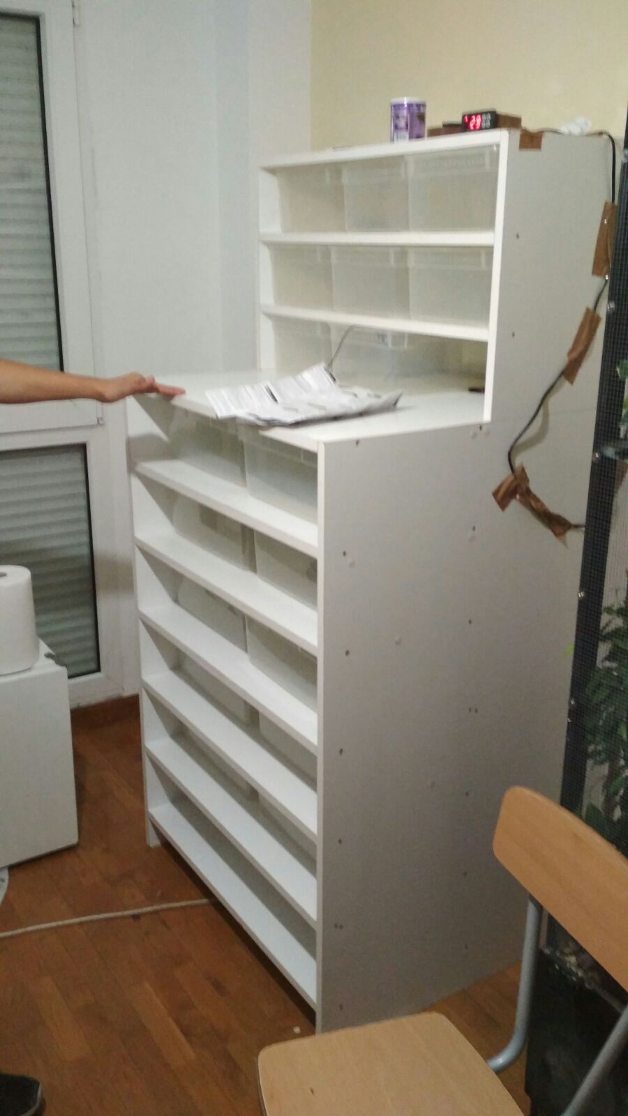 WhatsApp Image 2017-11-13 at 22.33.55.jpeg