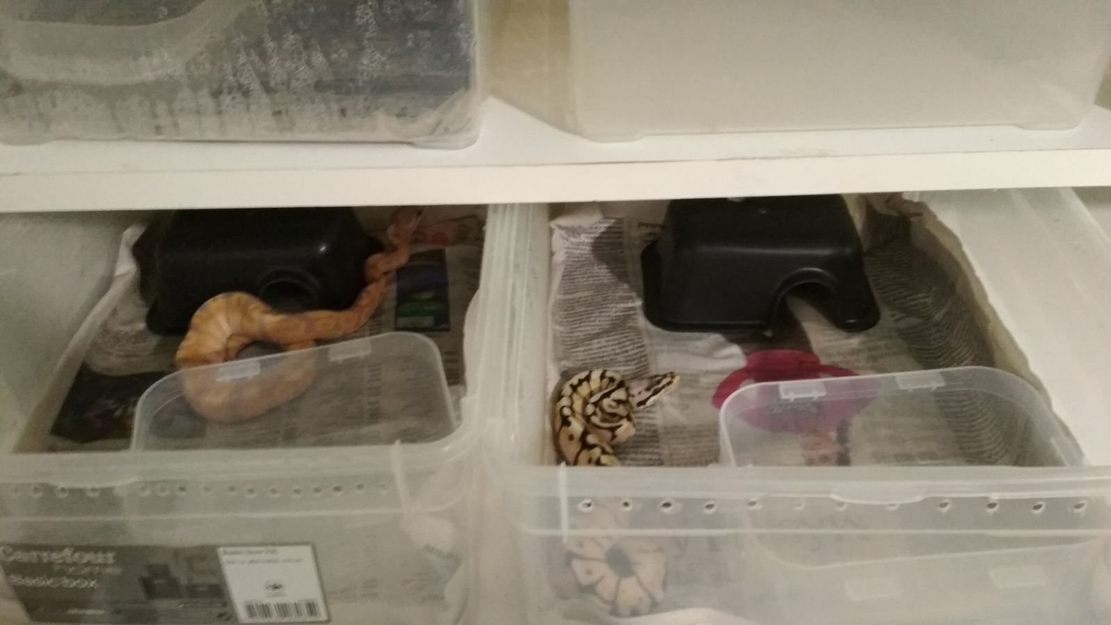 WhatsApp Image 2017-11-25 at 23.21.13.jpeg