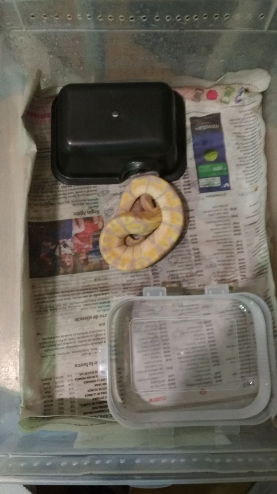 WhatsApp Image 2017-11-25 at 23.21.14 (2).jpeg