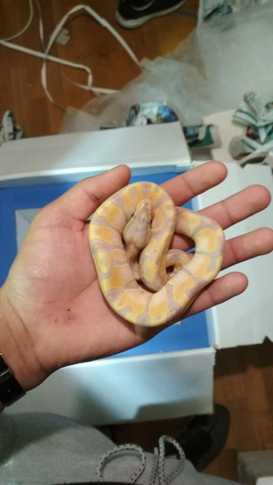 WhatsApp Image 2017-11-25 at 23.21.14 (3).jpeg