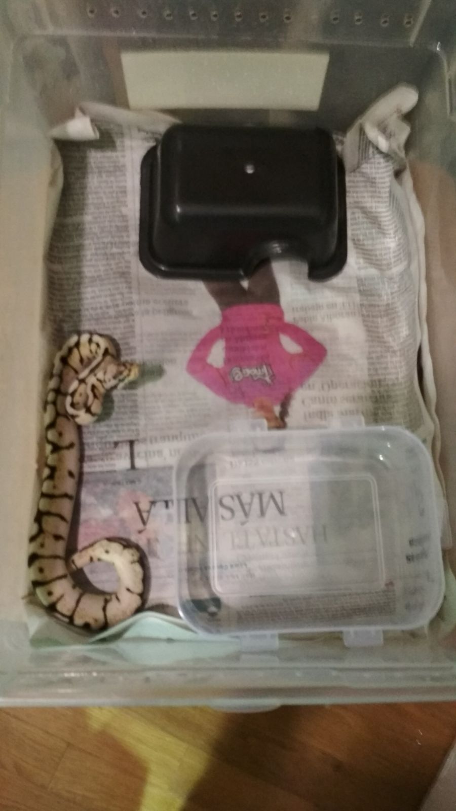 WhatsApp Image 2017-11-25 at 23.21.14.jpeg