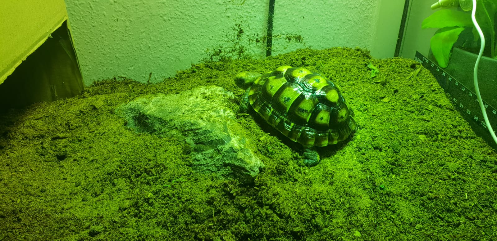 WhatsApp Image 2019-01-22 at 21.23.41.jpeg