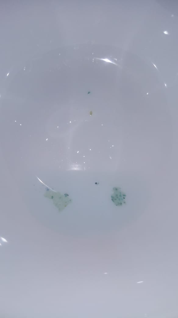 WhatsApp Image 2019-02-05 at 09.46.46 (1).jpeg