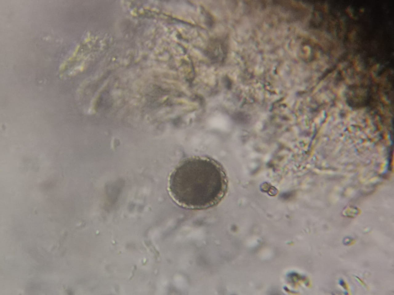 WhatsApp Image 2020-02-05 at 16.23.22.jpeg