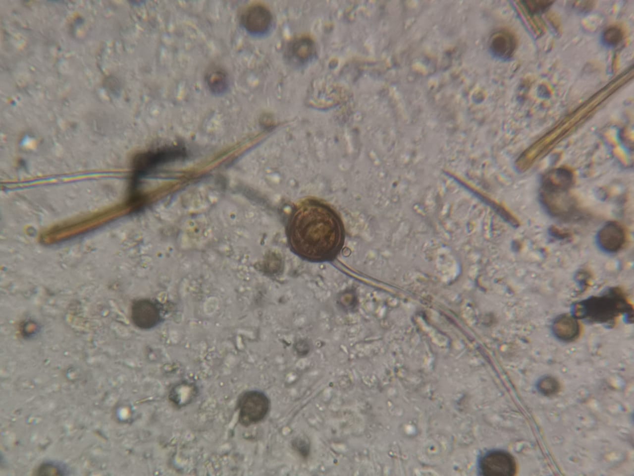 WhatsApp Image 2020-02-05 at 16.23.23.jpeg