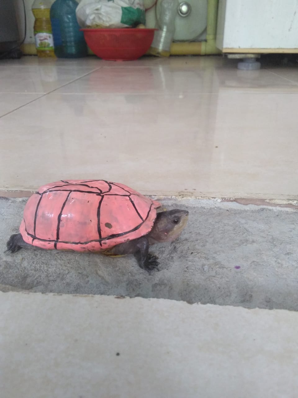 WhatsApp Image 2020-03-03 at 3.12.21 PM.jpeg