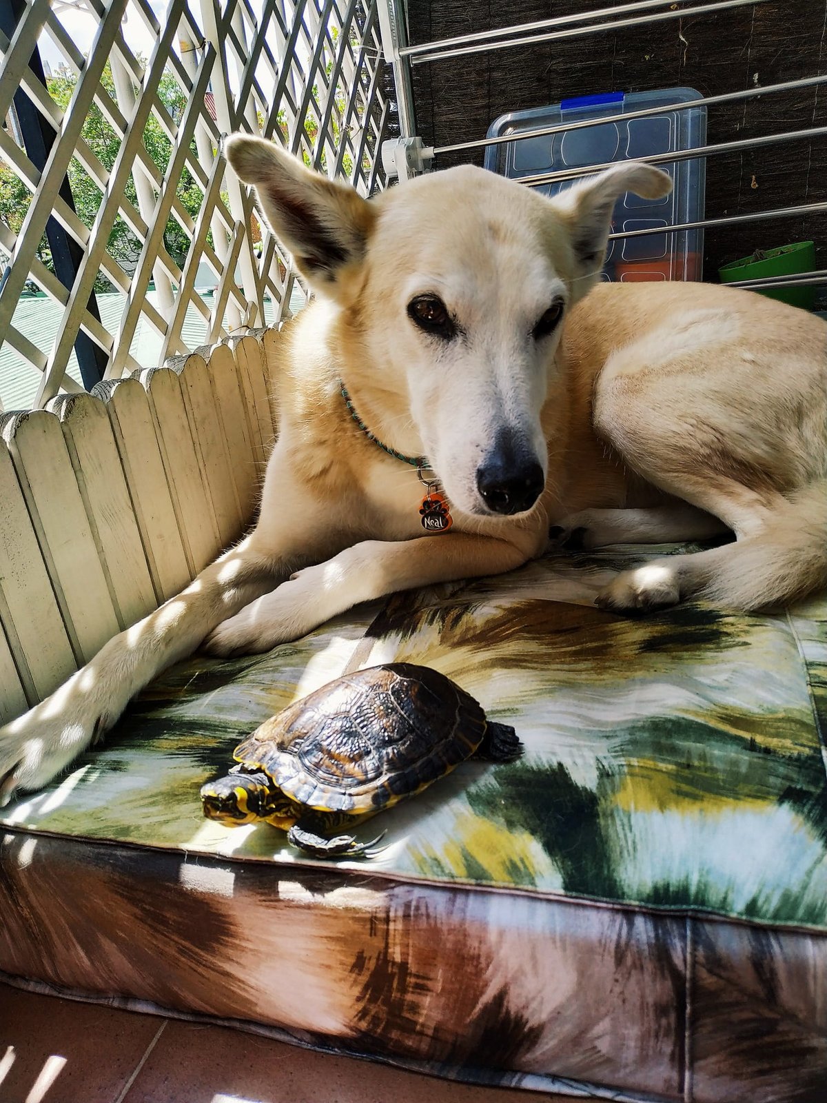 WhatsApp Image 2020-05-05 at 12.57.14(1).jpeg