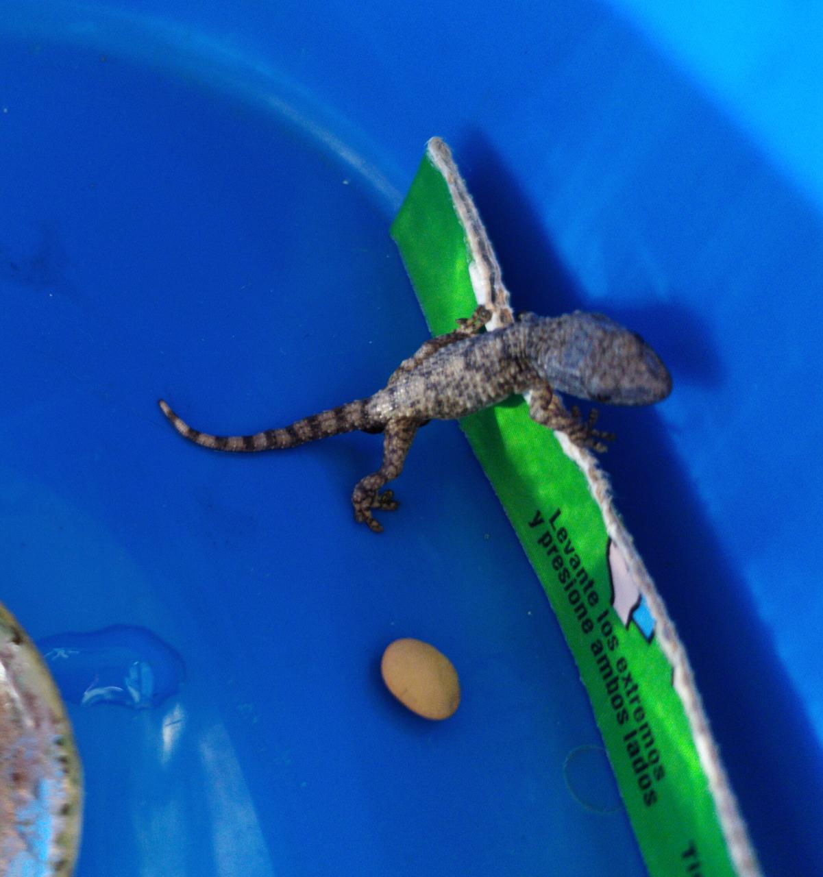 WhatsApp Image 2020-05-24 at 2.39.18 PM.jpeg