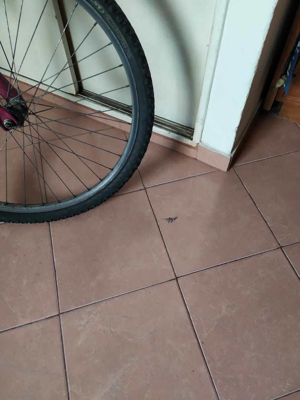 WhatsApp Image 2020-05-24 at 4.52.15 PM.jpeg