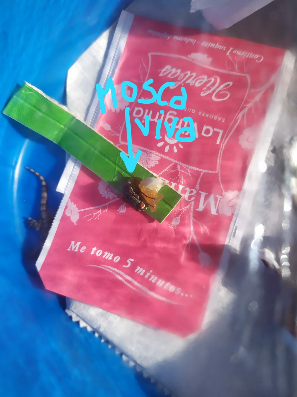 WhatsApp Image 2020-05-27 at 2.46.09 PM (1).jpeg