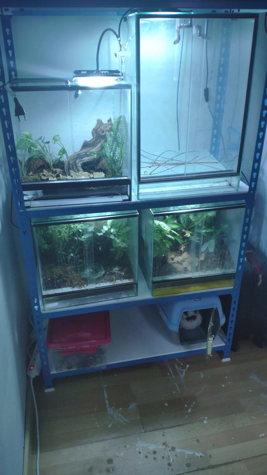 WhatsApp Image 2020-06-24 at 12.47.34.jpeg