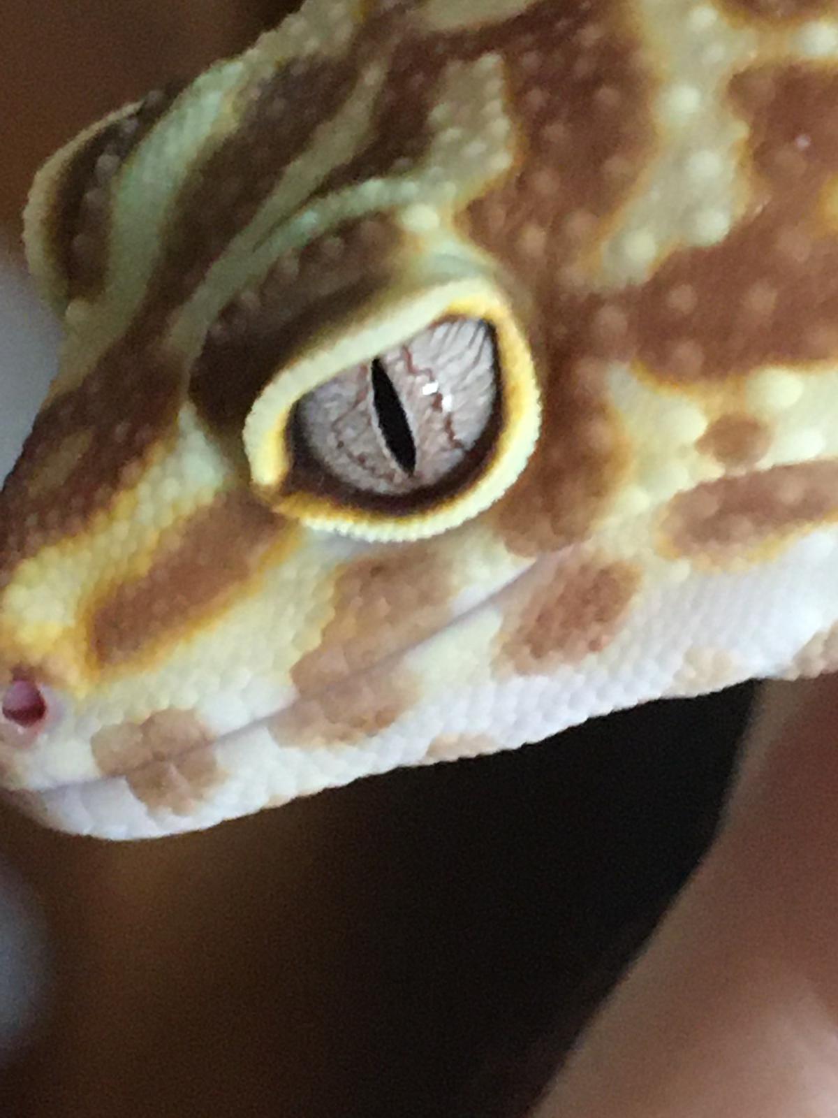 WhatsApp Image 2020-06-29 at 12.24.25.jpeg