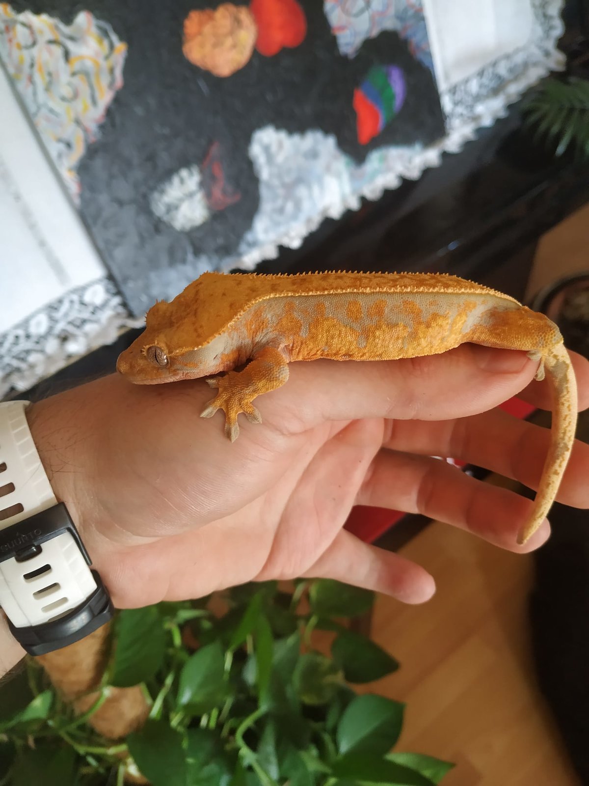 WhatsApp Image 2020-09-07 at 16.05.04 (1).jpeg