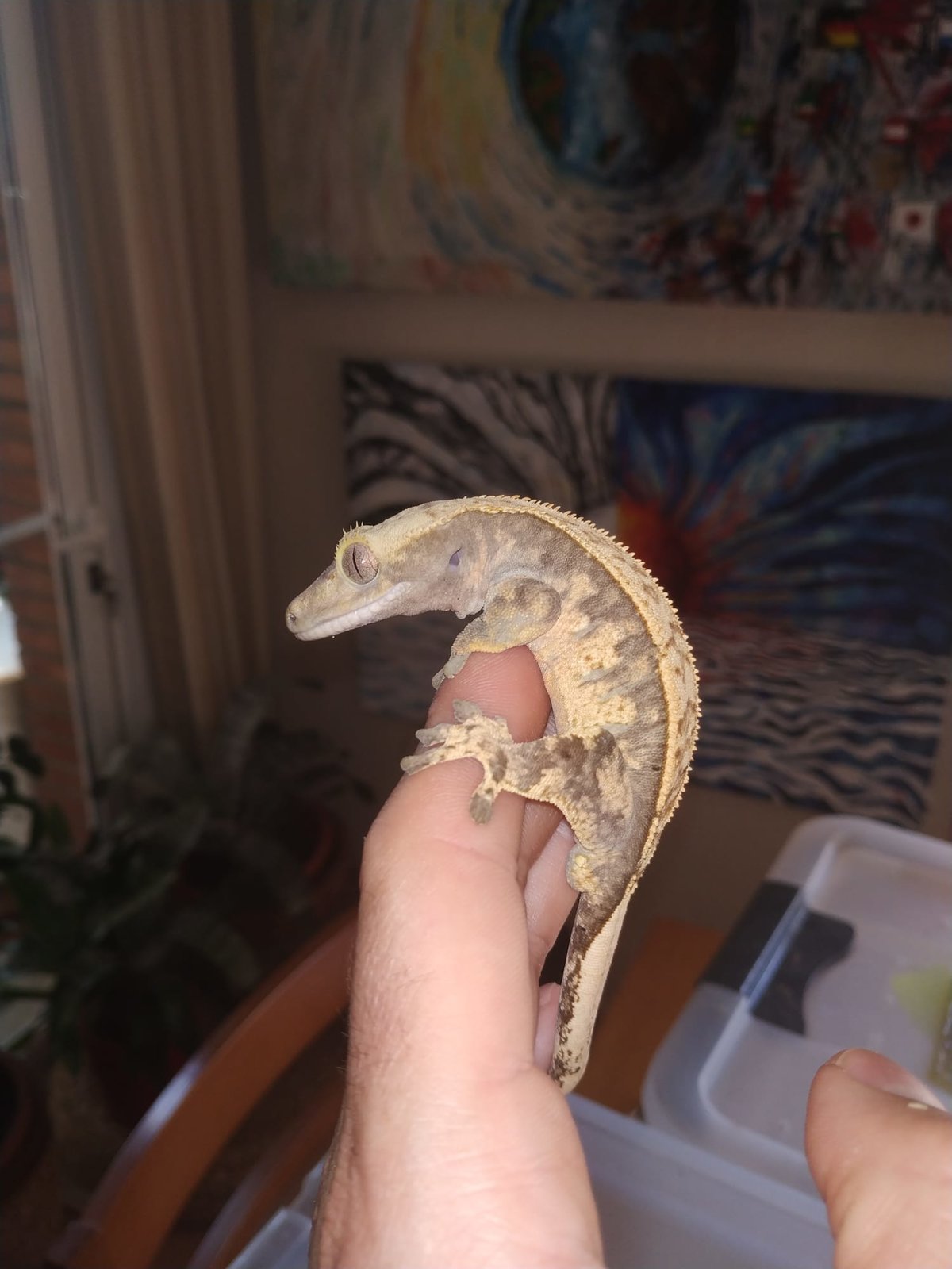 WhatsApp Image 2020-09-07 at 16.05.04.jpeg