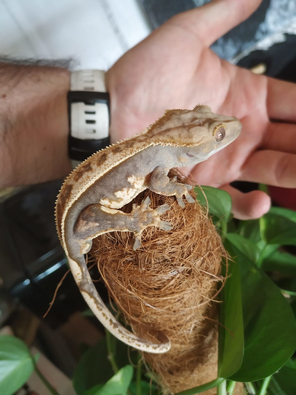 WhatsApp Image 2020-09-07 at 16.05.05.jpeg