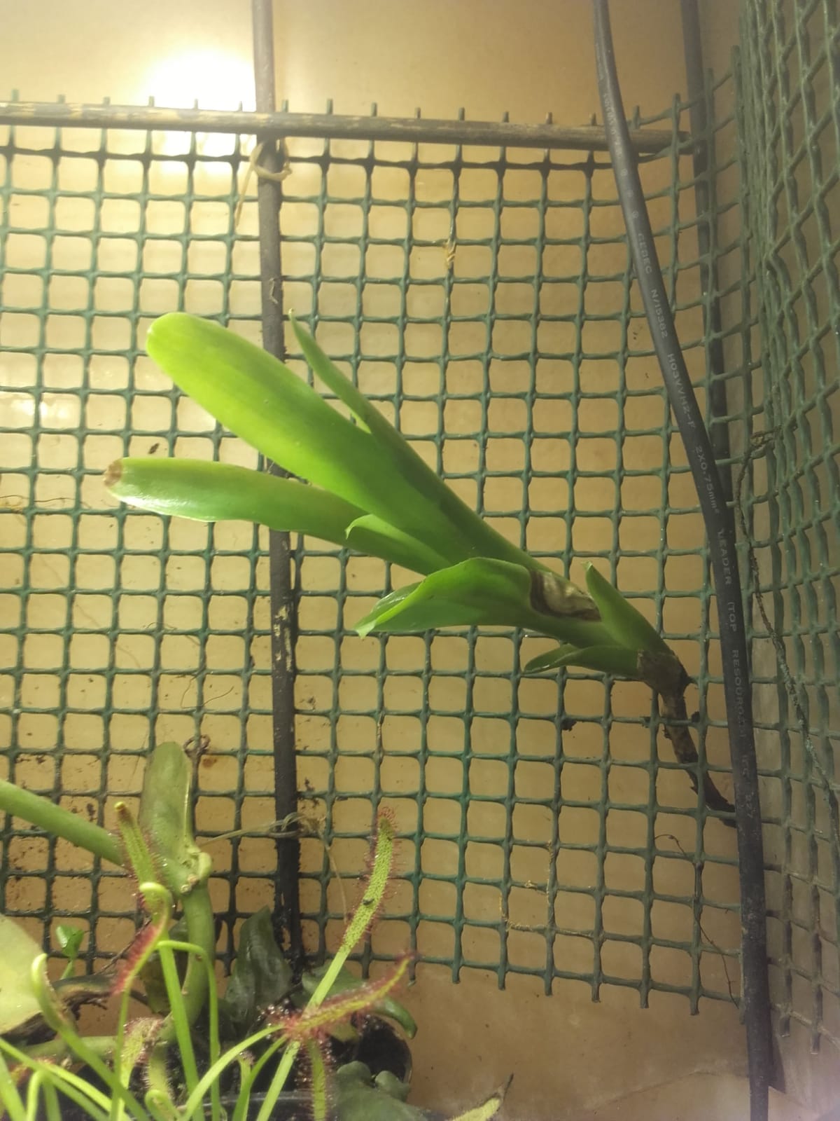 WhatsApp Image 2020-11-03 at 19.52.00.jpeg