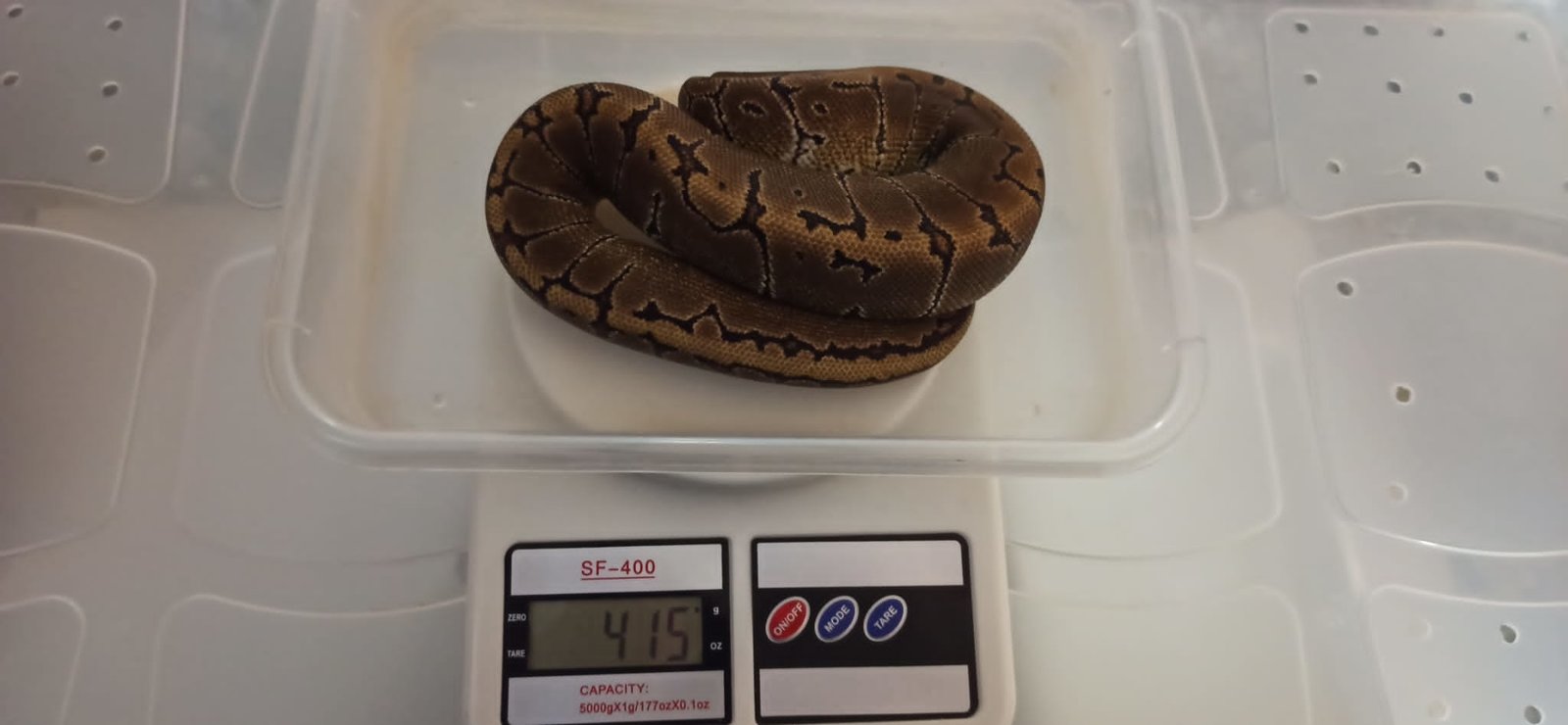 WhatsApp Image 2020-12-27 at 19.38.37.jpeg