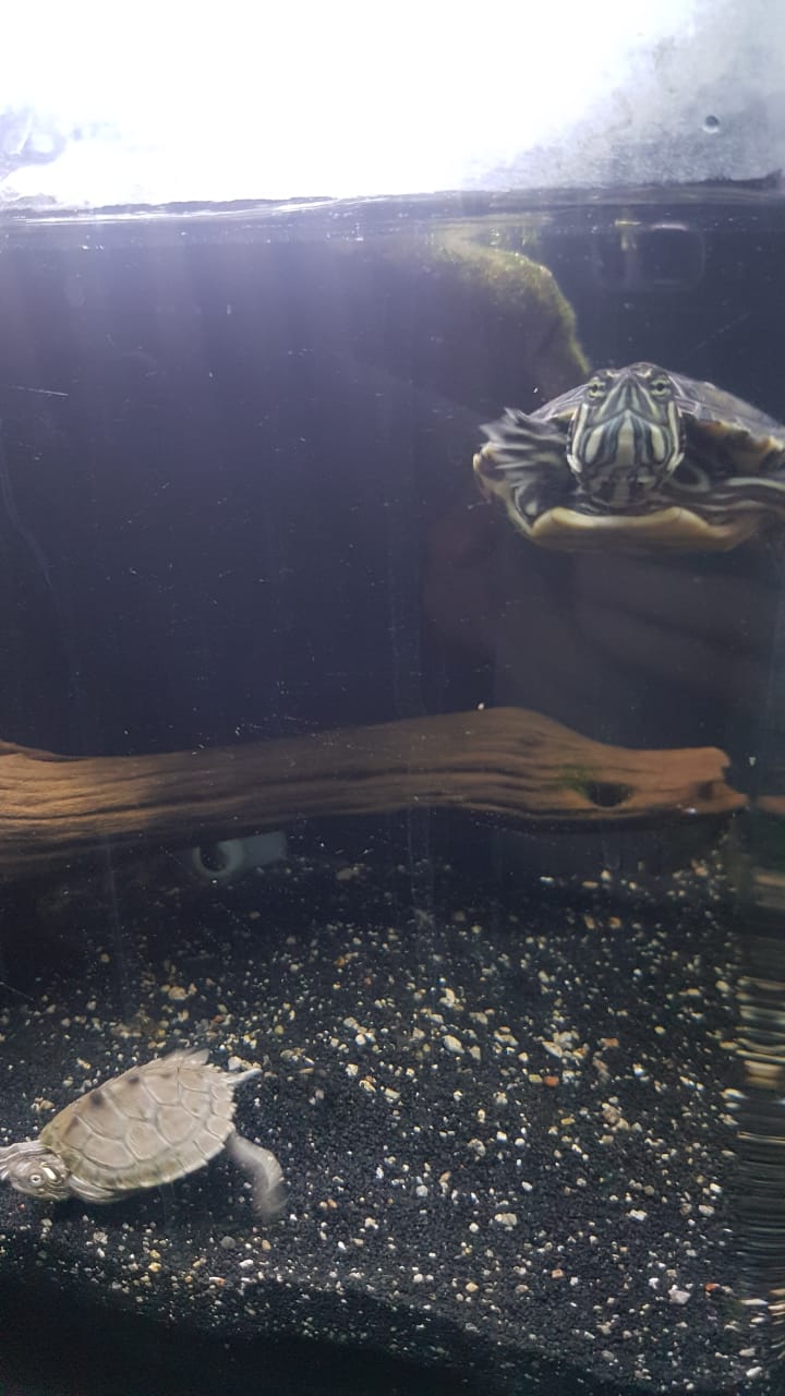 WhatsApp Image 2021-01-18 at 08.22.30.jpeg