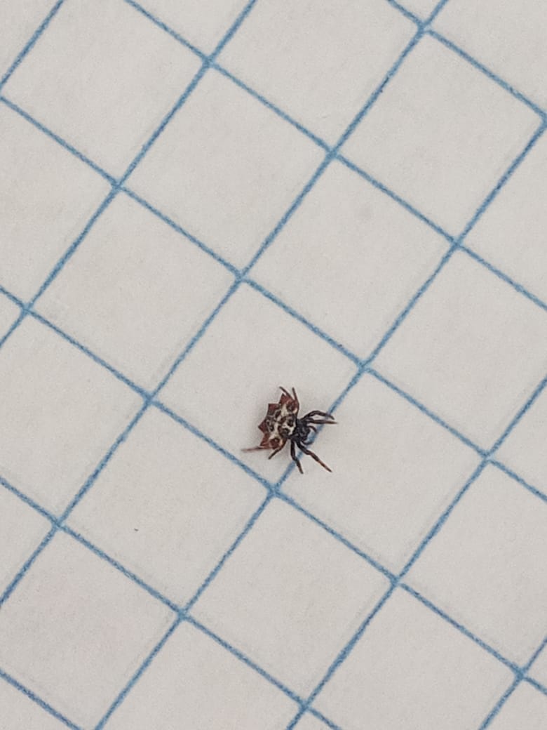 WhatsApp Image 2021-01-30 at 11.32.26 PM.jpeg