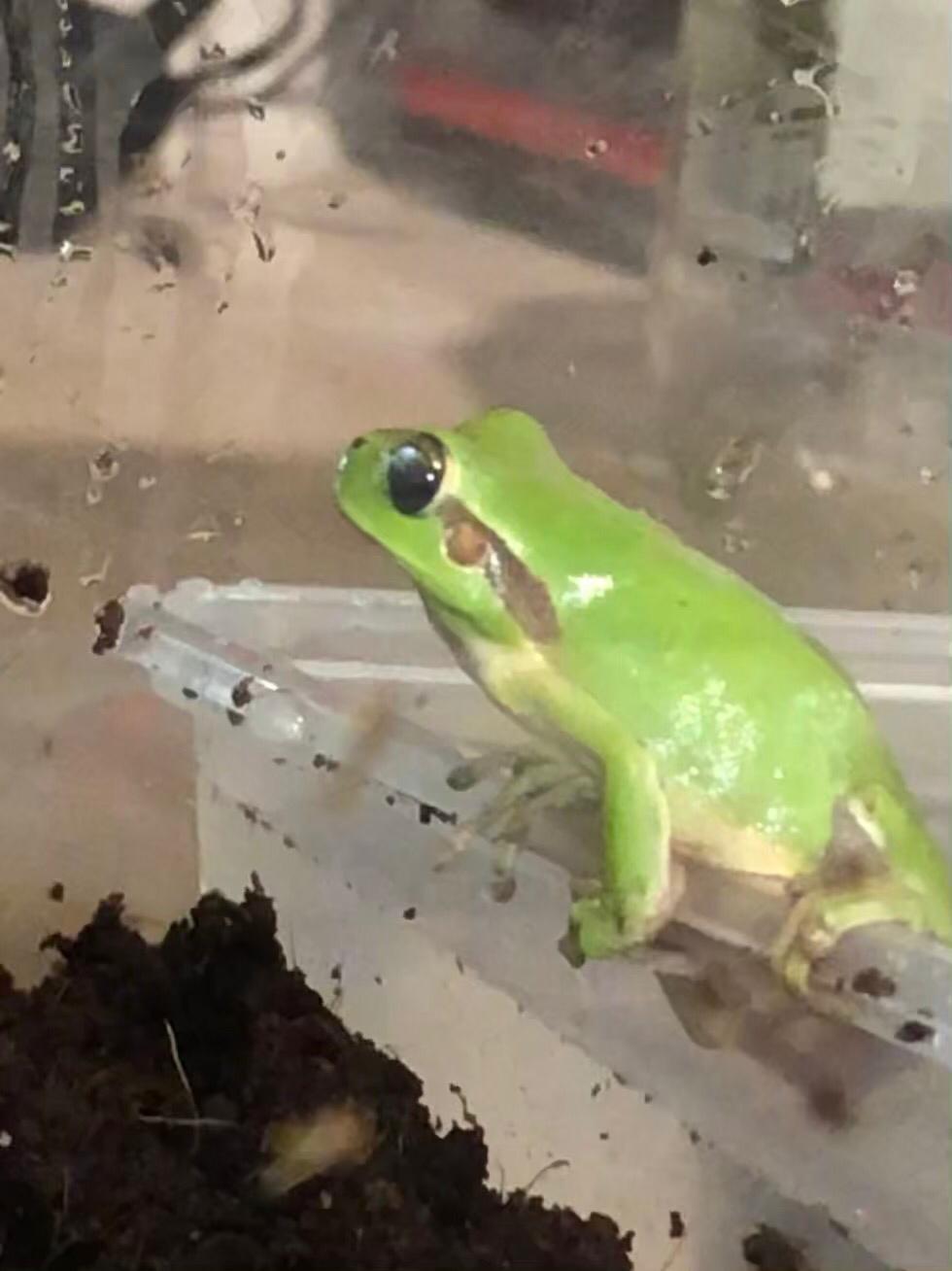 WhatsApp Image 2021-03-20 at 20.45.03.jpeg