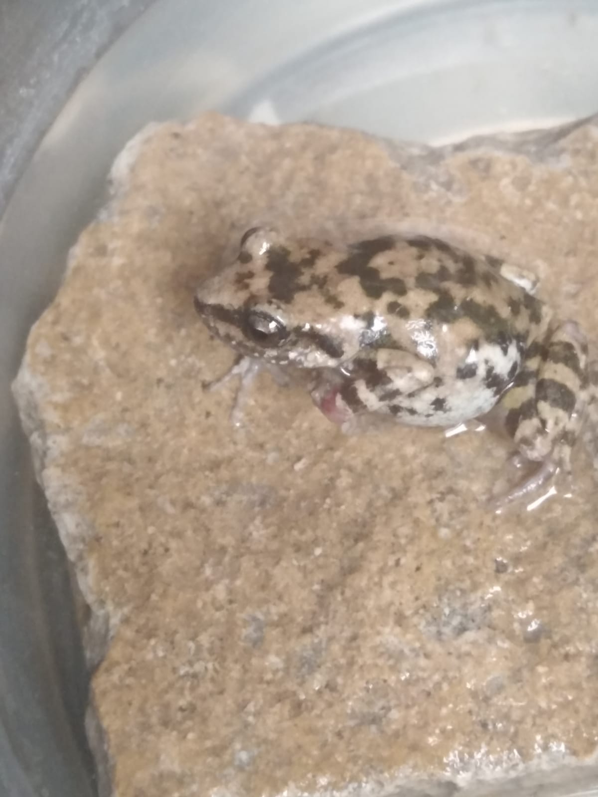 WhatsApp Image 2021-05-03 at 10.18.13 AM.jpeg