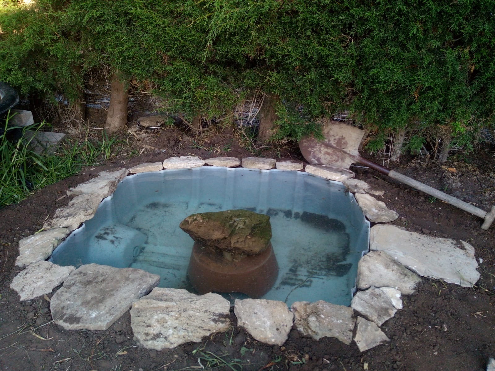 WhatsApp Image 2021-07-06 at 21.04.55.jpeg