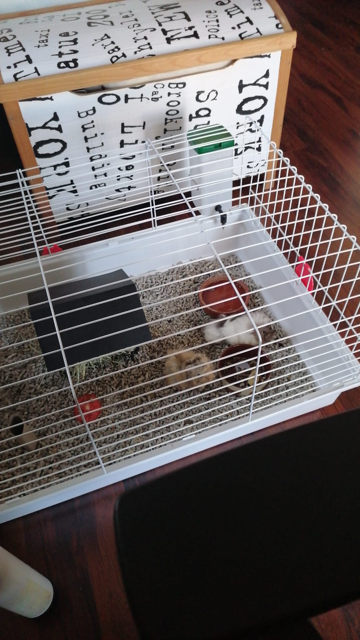 WhatsApp Image 2021-07-25 at 19.10.29.jpeg