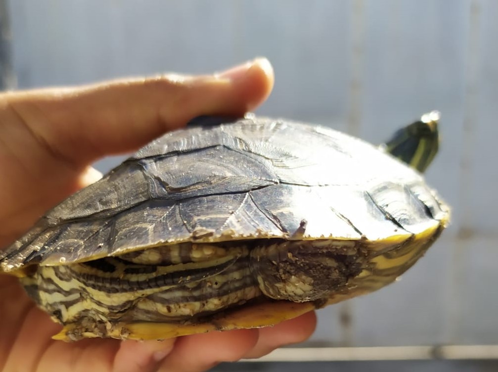 WhatsApp Image 2021-08-10 at 4.53.05 PM (1).jpeg