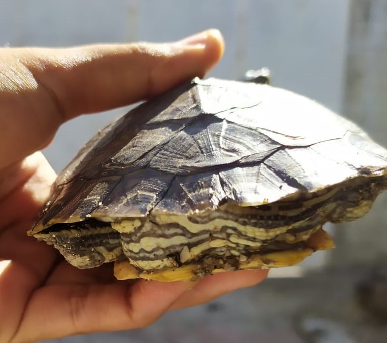 WhatsApp Image 2021-08-10 at 4.53.05 PM.jpeg