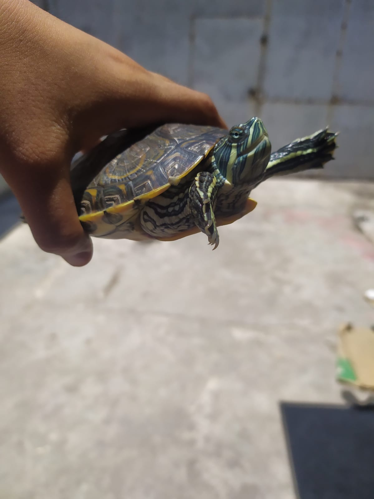 WhatsApp Image 2021-08-14 at 1.02.41 PM.jpeg