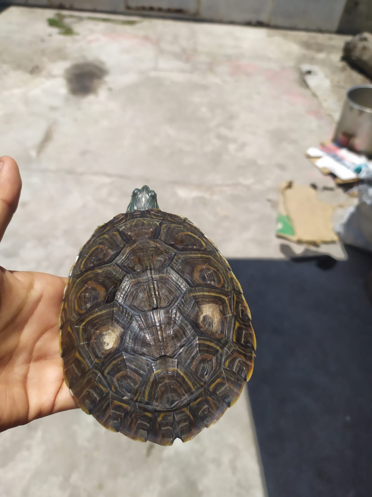 WhatsApp Image 2021-08-14 at 1.02.42 PM (1).jpeg