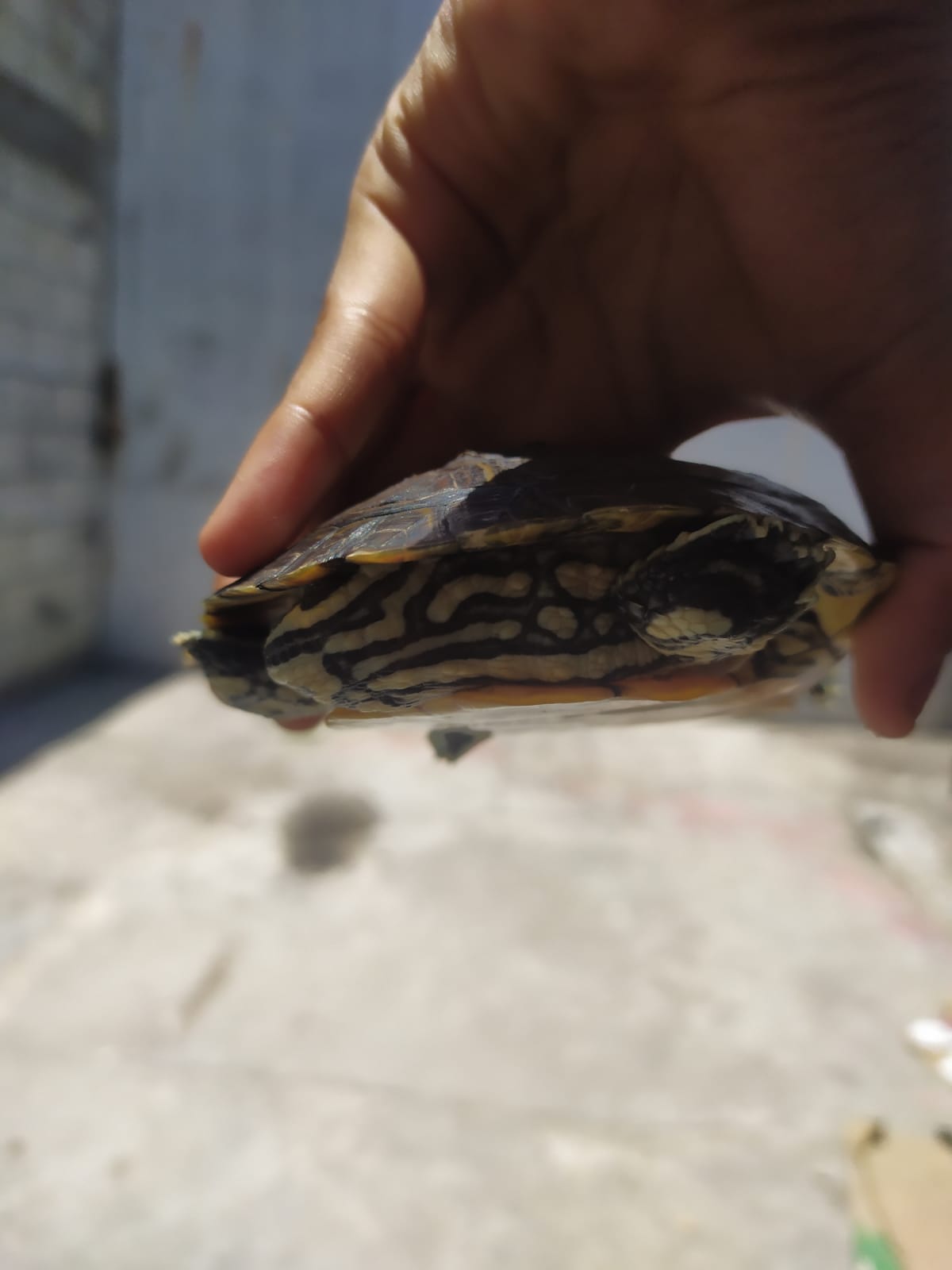 WhatsApp Image 2021-08-14 at 1.02.42 PM.jpeg