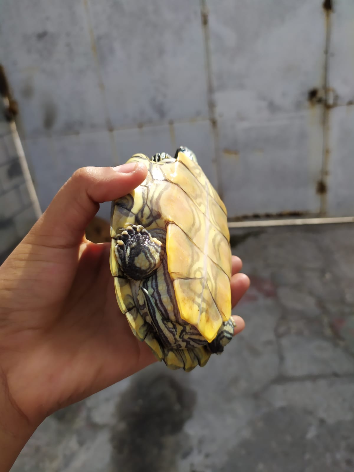 WhatsApp Image 2021-08-14 at 4.27.31 PM.jpeg