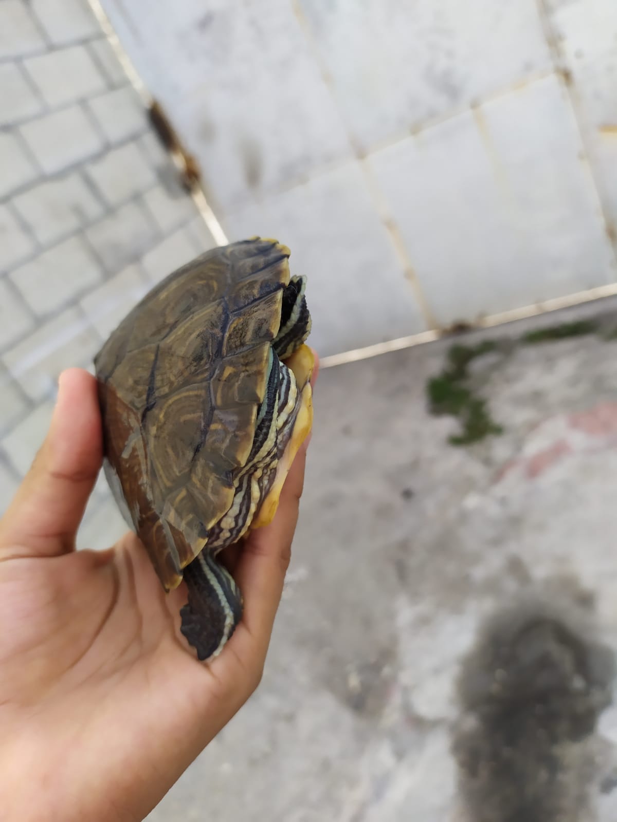 WhatsApp Image 2021-08-14 at 4.27.32 PM (1).jpeg