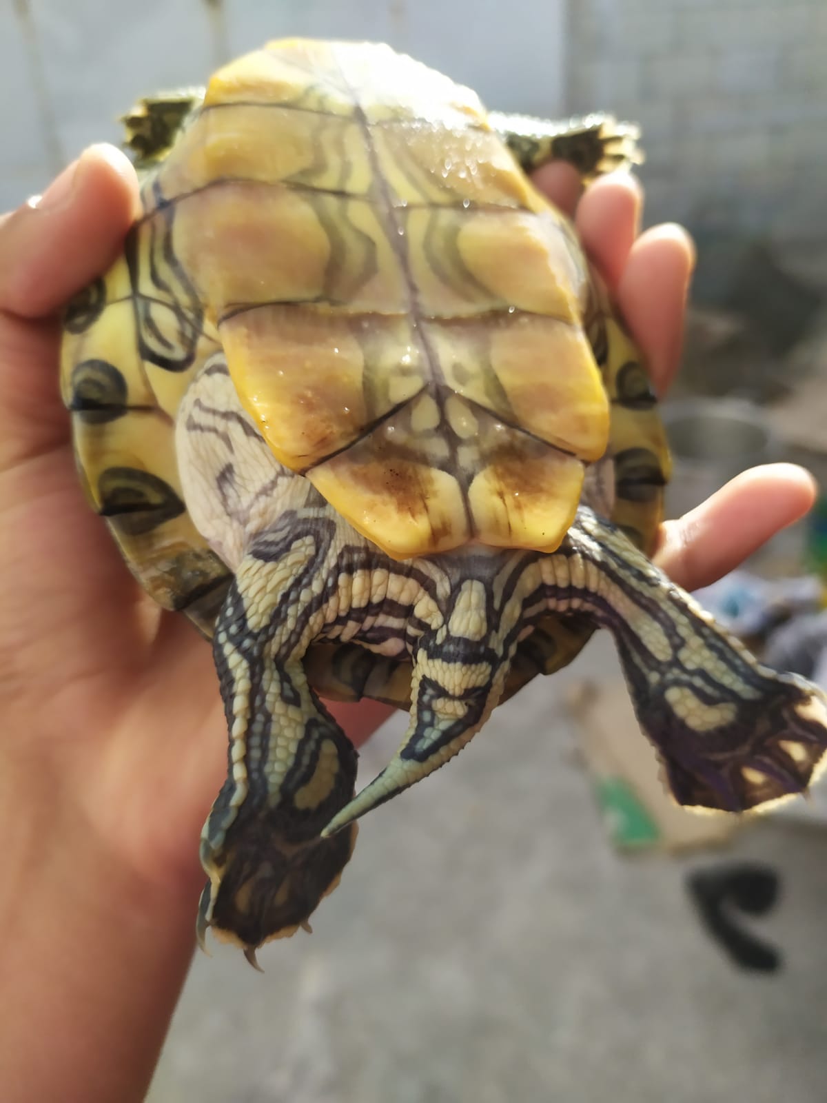 WhatsApp Image 2021-08-14 at 5.21.35 PM.jpeg