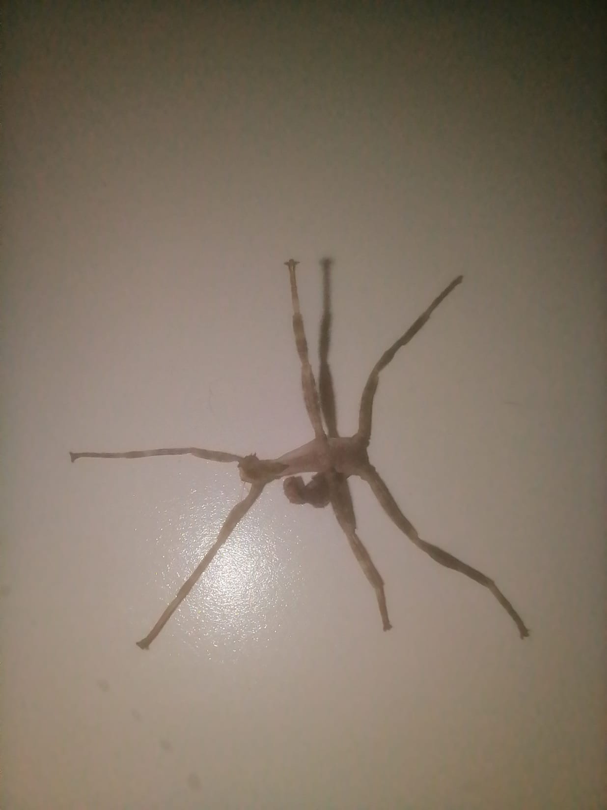 WhatsApp Image 2022-01-05 at 10.32.10 (2).jpeg