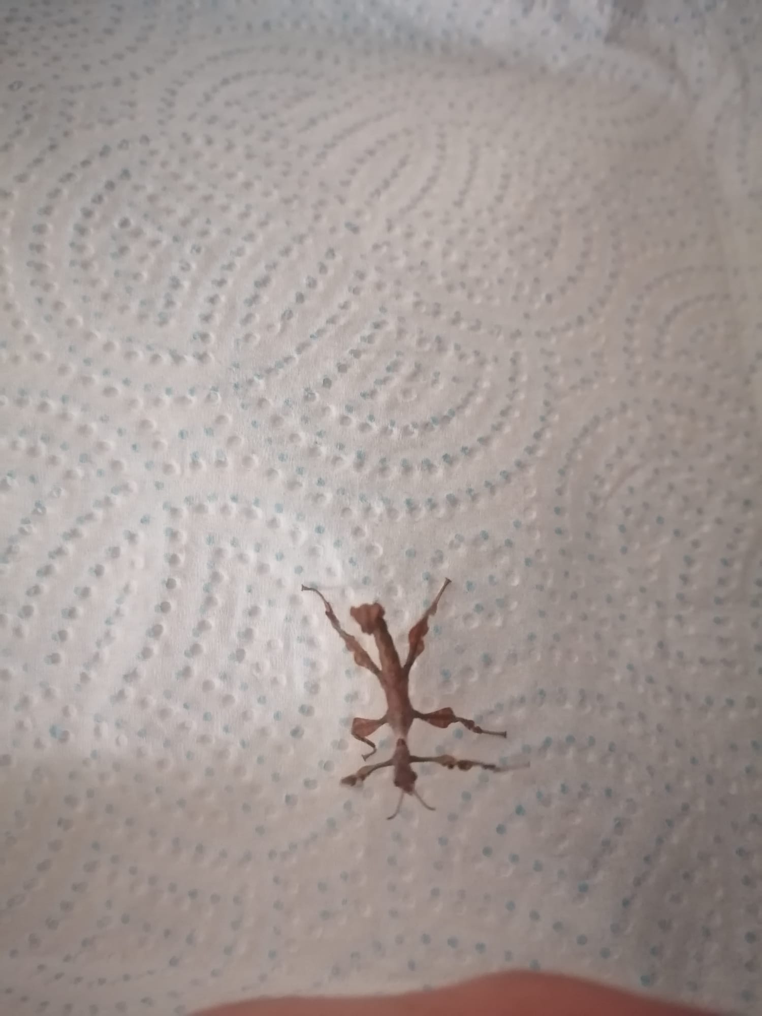 WhatsApp Image 2022-01-05 at 10.32.10.jpeg