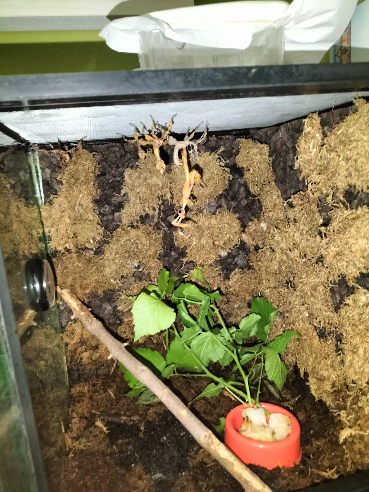 WhatsApp Image 2022-03-04 at 10.33.05.jpeg