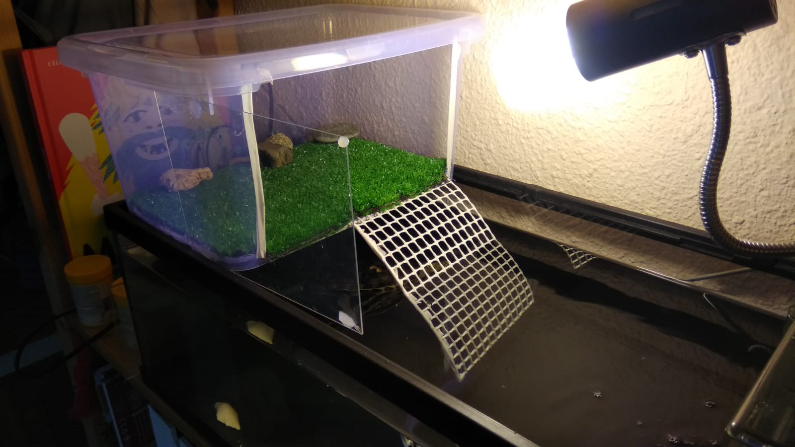 WhatsApp Image 2022-06-21 at 9.46.13 PM.jpeg