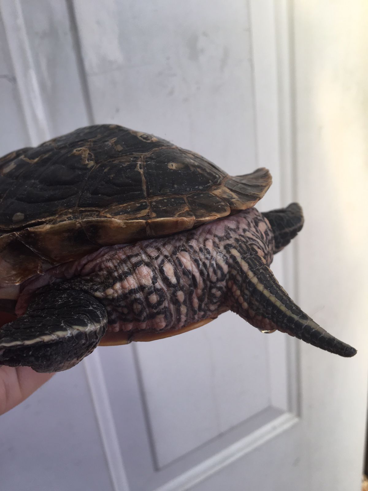 WhatsApp Image 2022-11-14 at 12.37.28 PM.jpeg